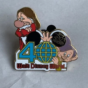 Disney World D23 Expo 2011 WDW Mystery Pin 40th Anniversary GRUMPY & DOPEY PIN - Picture 1 of 5