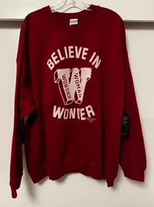 NWT JUNK FOOD Believe in Wonder - Wonder Woman Graphic Pullover Sweatshirt XL - Picture 1 of 5