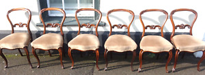 A lovely set of 6 Victorian Rosewood Balloon back Dining Chairs