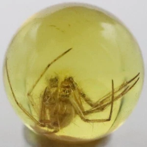 Amber Bead 6.45 mm NOT DRILLED Sphere with Rare Insect trapped for Million Years - Picture 1 of 6