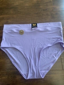 NWT WACOAL #875349 BALANCING ACT STRETCH BRIEF PANTY 2X-LARGEsz LILAC REG$19 - Picture 1 of 5