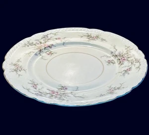Platos de cena Arcadian OLD ROSE 10" porcelana fina repuesto vintage. - Imagen 1 de 5