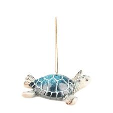 Cozumel Reef Blue Sea turtle