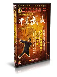 ( Out of print ) Songshan Shaolin Fanzi Boxing by Li Tianren DVD - No.092 - Picture 1 of 1