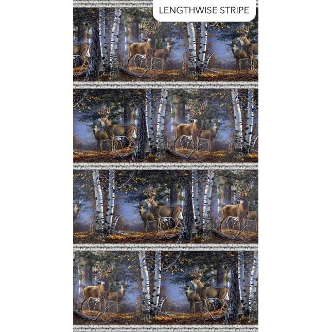 First Light Naturescapes By Northcott Studio - Grey Border Stripe  #26761-95 - Image 1 of 1