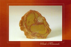 Postcard Utah "Jasper - Silicon Dioxide" Emery Cnty Rocks Minerals Rockhounding - Picture 1 of 1