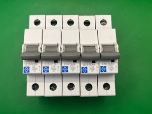 Lewden MCB E10-1C06 E10-1C10 E10-1C16 E10-1C32 E10-1C40 E10-1C50 E10-1B63 - Imagen 1 de 9