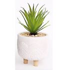 Künstlich Pflanze Zement Töpfe Ständer Heim Dekor Kaktus Ornamental Beine Deko