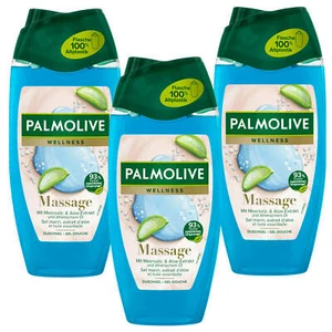 3x 250ml Palmolive Wellness Massage Duschgel mit Meersalz und Aloe Extrakt - Bild 1 von 3