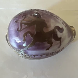 Cowrie Seashell Carved With Sagittarius Zodiac Sign - Picture 1 of 6