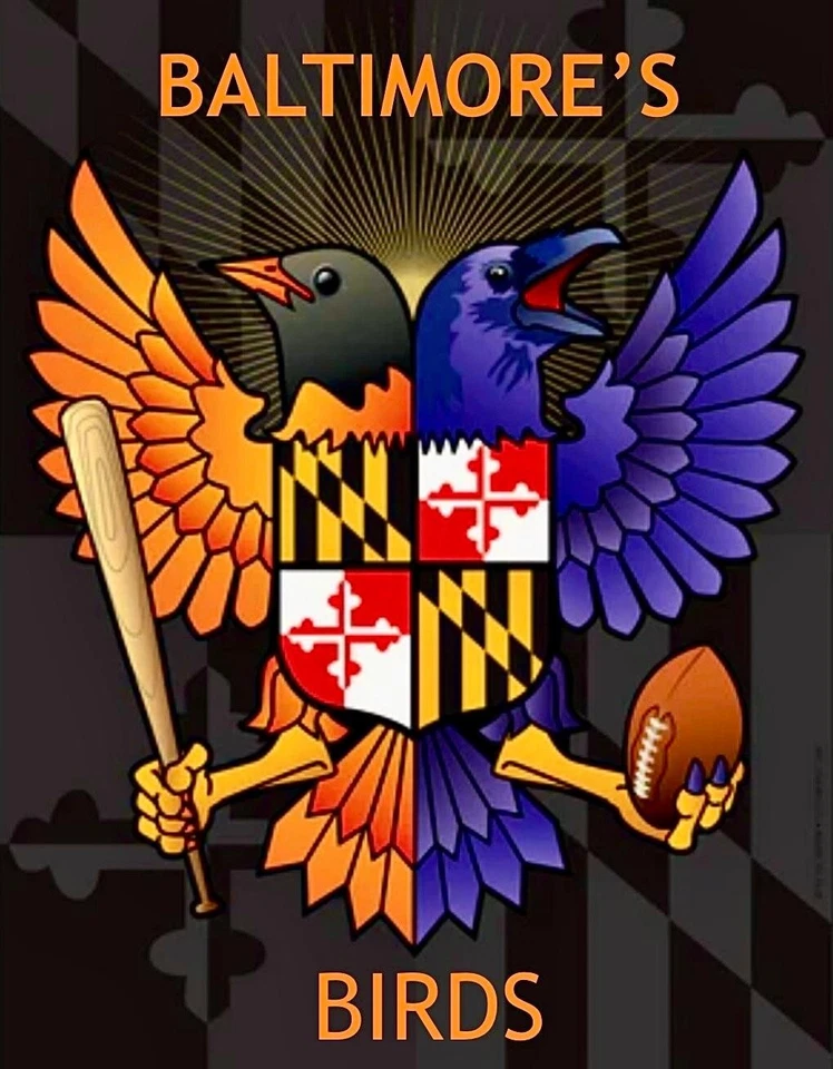 (2) Calcomanías de vinilo impermeables Baltimore Ravens Orioles 4,75x3,75 calcomanías AVES Foto 1 de 1