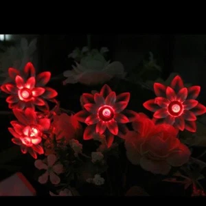 20 USB LED Accionado Doble Flor de Loto Fairy Luces 3.5M para Portátil Ordenador - Imagen 1 de 18