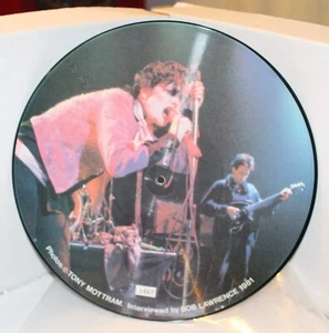 Siouxsie & The Banshees – Picture Disc  Red Door Label 1984 Interview No 1467 - Picture 1 of 4