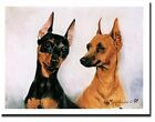 New Miniature Pinscher Pair Notecards 12 Note Cards w/ Envelopes Ruth Maystead