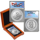 2012 Kanada Wildlife Series - srebrna moneta Cougar 5 USD MS70
