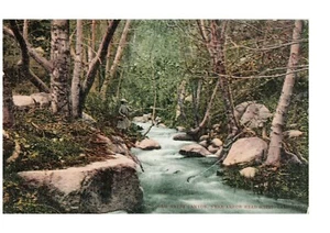 Lake Arrowhead California Cold Water Canyon Postcard Woman Fishing Creek Vintage - Picture 1 of 2