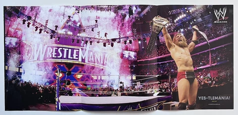 WWE DANIEL BRYAN 10.5" x 23" double sided Wrestling Poster EVOLUTION  wwf Cover