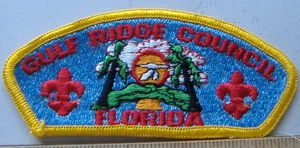 GULF RIDGE FLORIDA CONSIGLIO CONSIGLIO BOY SCOUT TOPPA TESSUTO - Foto 1 di 1