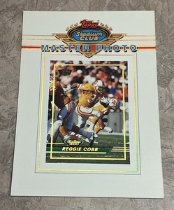 1993 TOPPS STADIUM CLUB MASTER PHOTO MEMBERS ONLY REGGIE COBB BUCCANEERS