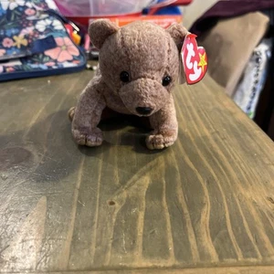 Ty Beanie Baby PECAN THE BEAR with Tag error 1999 RARE Retired  - Bild 1 von 7