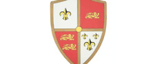 Royal Crusader Foam Heater Shield