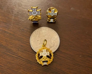 Catholic Daughters Of America Crown Cross Lapel Pin/Pendent/Tie Tack Gold Tone - Picture 1 of 5