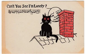 Postcard Black Cat on Roof "I'm Lonely" Comic Advertisement Coomber Tillsonburg - Picture 1 of 2