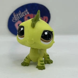 IGUANA #3572 - Auténtica tienda de mascotas Littlest - Hasbro LPS - Imagen 1 de 4