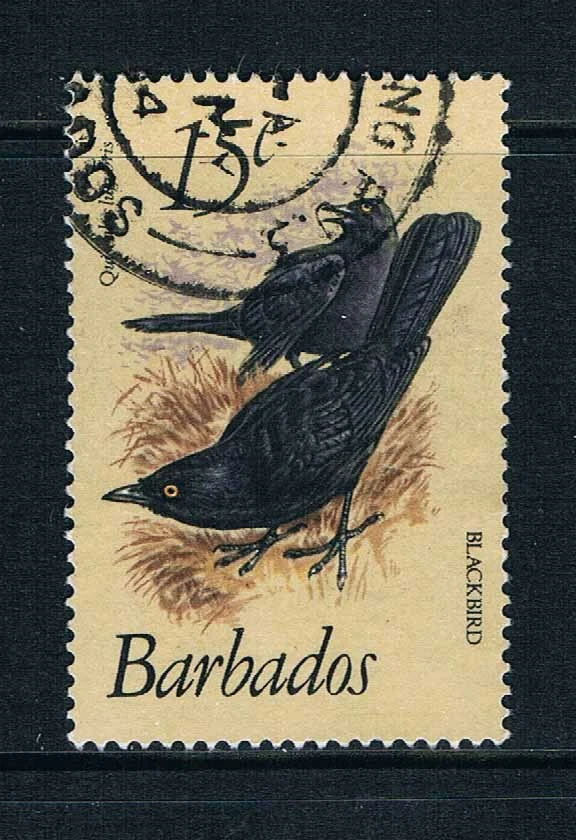 Barbados 1982 Birds 15c value o/FU SG 627a — 第 1/1 张图片