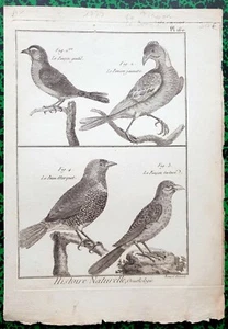 XVIII ème- Rare Gravure Originale 1779 - Différents Pinçons & Beau Marquet Pl160 - Picture 1 of 1