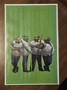 TMNT #1 SMZ 2024 SDCC SAJAD SHAH VIRGIN Exclusive Ninja Turtles IDW Comics NM/+ - Bild 1 von 2