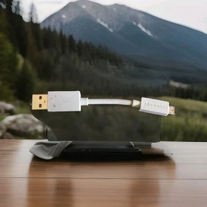 Adaptador USB Jawbone/genuino cable cargador usado OEM USB Mini - Imagen 1 de 6