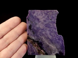 CHAROITE beautiful purple colour ! - RUSSIA - SIBERIA - Murunskii Massif /pc681 - Picture 1 of 11