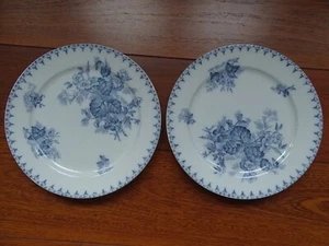 SARREGUEMINES 2 ANCIENNES ASSIETTES PLATES FAIENCE MODELE FLORE 1920 24,5 cm - Picture 1 of 5