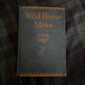 RARE Vintage Antique Wild Horse Mesa by Zane Gray 1924 - Imagen 1 de 6