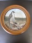 Hamilton Collection Majestic Birds of Prey Peregrine Falcon Collect Plate Framed