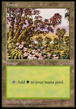 Forest (Red Tree Leaves) X4 (Mirage) MTG (LP) *CCGHouse* Magic