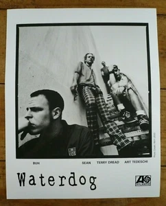 Waterdog - Vintage Band Press Photo Glossy B&W 8x10 - Bild 1 von 1