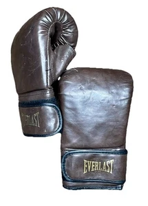 Everlast 1910 Classic Hook and Loop Boxing Gloves - Picture 1 of 6