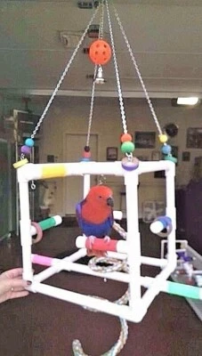 FROM "PERCH PERFECT BIRD SPECIALTIES" "CUBE" 1/2" small Hanging Perch Stand** Birds Love Them
