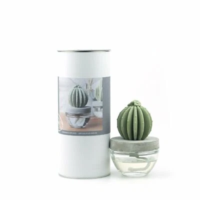 Pretty Valley Home 6047-Ocean Breeze Fragrances Oil Cactus Diffuser 100ml Decor - Image 1 of 3