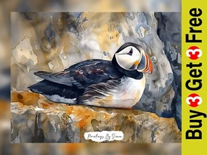 Beautiful Puffin Portrait, Watercolor Painting Print 5"x7" on Matte Paper - Picture 1 of 7