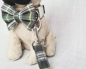 Green tartan/plaid dog collar, lead and dickie bow set, dog gifts - Picture 1 of 5
