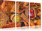 Herbst Kastanie 3-Teiler Leinwandbild Wanddeko Kunstdruck