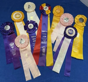 1967-68 Lot 10 North Carolina Horse Show Ribbons Rosettes Craft - Picture 1 of 16