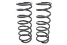 Terrafirma Front Coil Springs (Standard Height) - Land Rover Discovery 2 -TF028