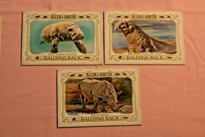 INDIAN MANATEE /NORTHERN ELEPHAN SEAL/ WHITE RHINO 2021 A&G RALLY BACK #RB7&8&10