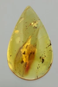 Fossil BEETLE & GNAT Genuine BALTIC AMBER Cabochon DROP Pendant Piece 3g 20209-1 - Picture 1 of 4