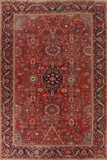 Pre-1900 Antique Vegetable Dye Large Rug 11x15 ft. Sultanabad Handmade Carpet