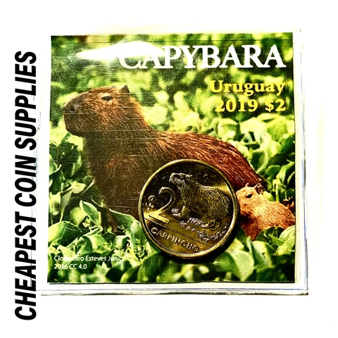BU 2019 Uruguay $2 Capybara Animal Coin - Comes with Holder - Cheapest on eBay! Cover